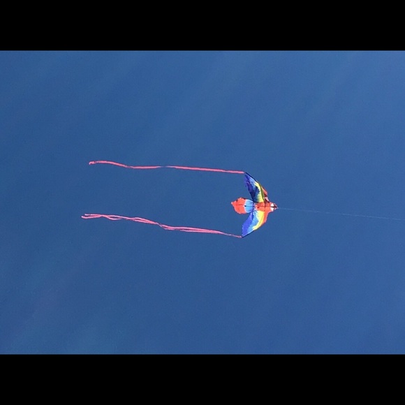 Meet your Posher, Catherine - Picture 1 of 1